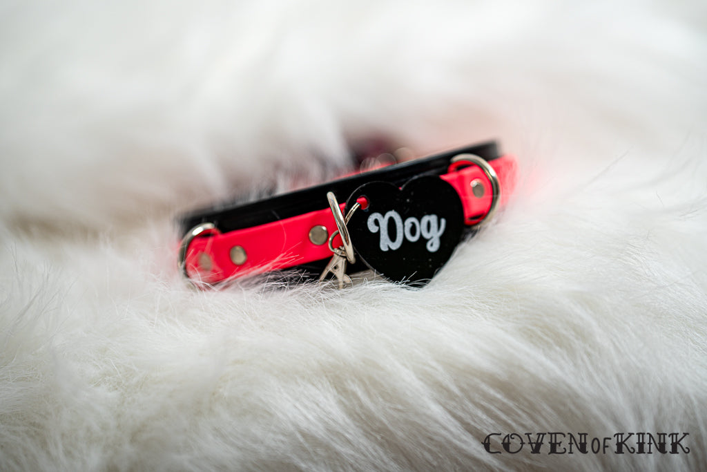 Dog Collar Tag