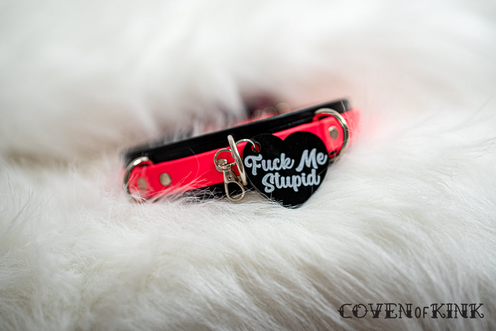 Fuck Me Stupid Collar Tag