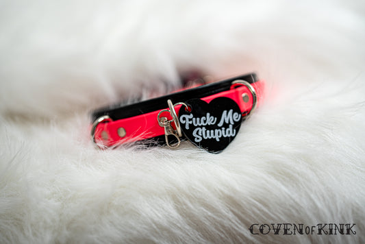 Fuck Me Stupid Collar Tag